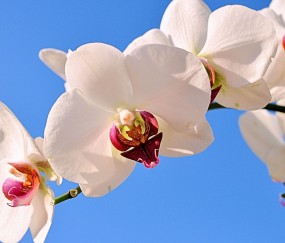 通化正规助孕捐卵机构，附正规捐卵机构报名表！